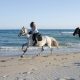 Equitazione